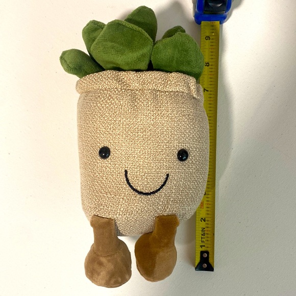 New Quirky Smiley Succulent Super Plush Plant - Picture 3 of 4